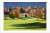 Golf course in Manchester, Vermont by Anonymous