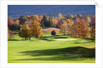 Golf course in Manchester, Vermont by Anonymous