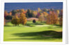 Golf course in Manchester, Vermont by Anonymous