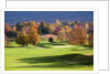 Golf course in Manchester, Vermont by Anonymous