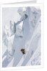 Backcountry skier in mid-jump by Anonymous