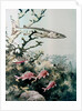 Barracuda and reef fishes by Anonymous
