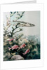 Barracuda and reef fishes by Anonymous
