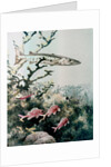 Barracuda and reef fishes by Anonymous