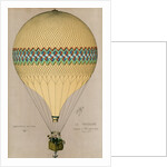 Le Tricolore by Anonymous