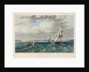 New York Harbor by Anonymous