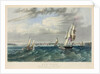 New York Harbor by Anonymous