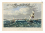 New York Harbor by Anonymous