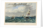 New York Harbor by Anonymous