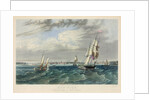 New York Harbor by Anonymous