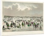 Jamaica Pond, West Roxbury, Mass. by Anonymous