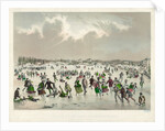 Jamaica Pond, West Roxbury, Mass. by Anonymous