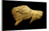 Neolithic ivory bison by Anonymous