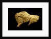 Neolithic ivory bison by Anonymous