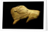 Neolithic ivory bison by Anonymous