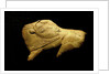 Neolithic ivory bison by Anonymous