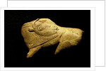 Neolithic ivory bison by Anonymous