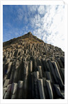 Columnar basalt along Iceland's South Coast by Anonymous