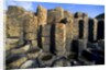 Columnar basalt at Giant's Causeway by Anonymous