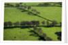 Rich green pastureland in countryside of Northern Ireland by Corbis