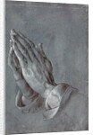 Praying Hands by Albrecht Dürer
