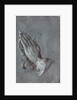 Praying Hands by Albrecht Dürer