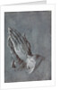 Praying Hands by Albrecht Dürer