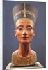 Bust of Nefertiti by Anonymous