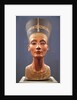 Bust of Nefertiti by Anonymous