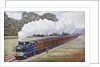 Tank locomotive pulling a Great Eastern Railway train by Anonymous