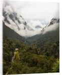 Hailuogou Glacier Forest Park by Anonymous