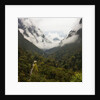 Hailuogou Glacier Forest Park by Anonymous