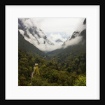 Hailuogou Glacier Forest Park by Anonymous