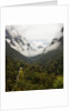 Hailuogou Glacier Forest Park by Anonymous