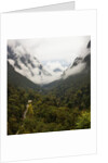 Hailuogou Glacier Forest Park by Anonymous