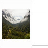 Hailuogou Glacier Forest Park by Anonymous
