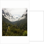 Hailuogou Glacier Forest Park by Anonymous