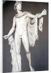 Roman Copy of Apollo Belvedere by Leochares