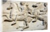 Cavalcade from the west frieze of the Parthenon by Anonymous