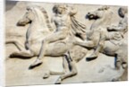 Cavalcade from the west frieze of the Parthenon by Anonymous