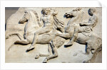 Cavalcade from the west frieze of the Parthenon by Anonymous