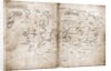Vinland Map of New World by Anonymous