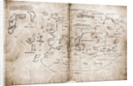 Vinland Map of New World by Anonymous