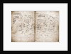 Vinland Map of New World by Anonymous