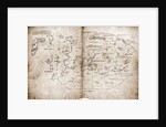 Vinland Map of New World by Anonymous