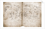 Vinland Map of New World by Anonymous