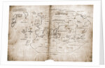 Vinland Map of New World by Anonymous