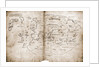 Vinland Map of New World by Anonymous