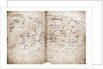 Vinland Map of New World by Anonymous