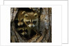 Raccoon family in hollow of tree by Anonymous